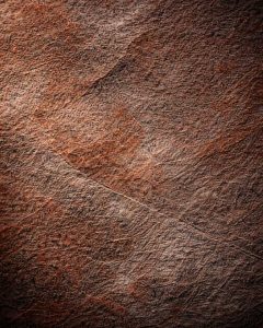 Feuille de pierre 66 | Feuille de pierre naturelle macro matière surface minérale