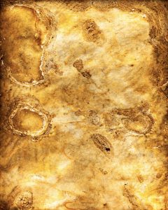 Feuille de pierre 66 | Feuille de pierre translucide rétro-éclairée matière minérale lumineuse