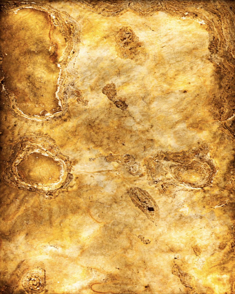 Feuille de pierre 66 | Feuille de pierre translucide rétro-éclairée matière minérale lumineuse