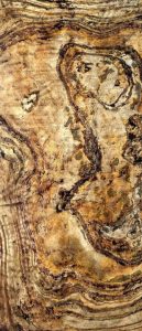 PA101T | Feuille de pierre Translucidet