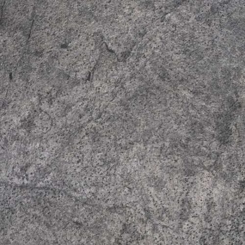 Feuille de pierre Paola