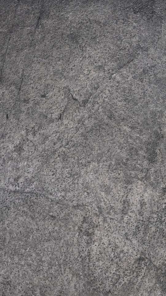 Feuille de pierre Paola