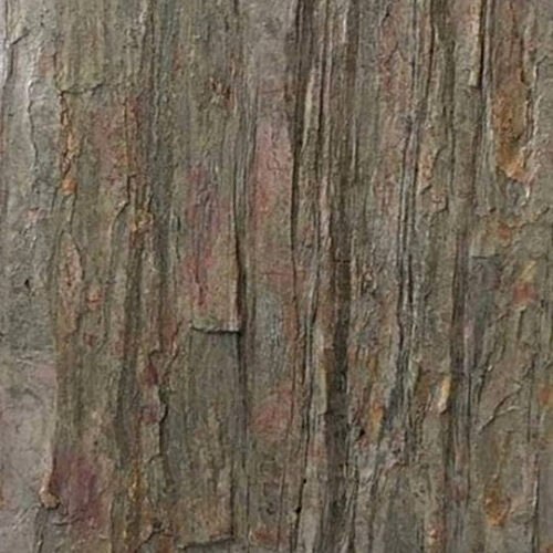 Feuille de pierre Justine