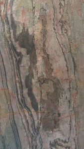 PA218 | Feuille de pierre Quartzite