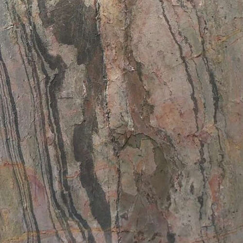 Feuille de pierre Julia