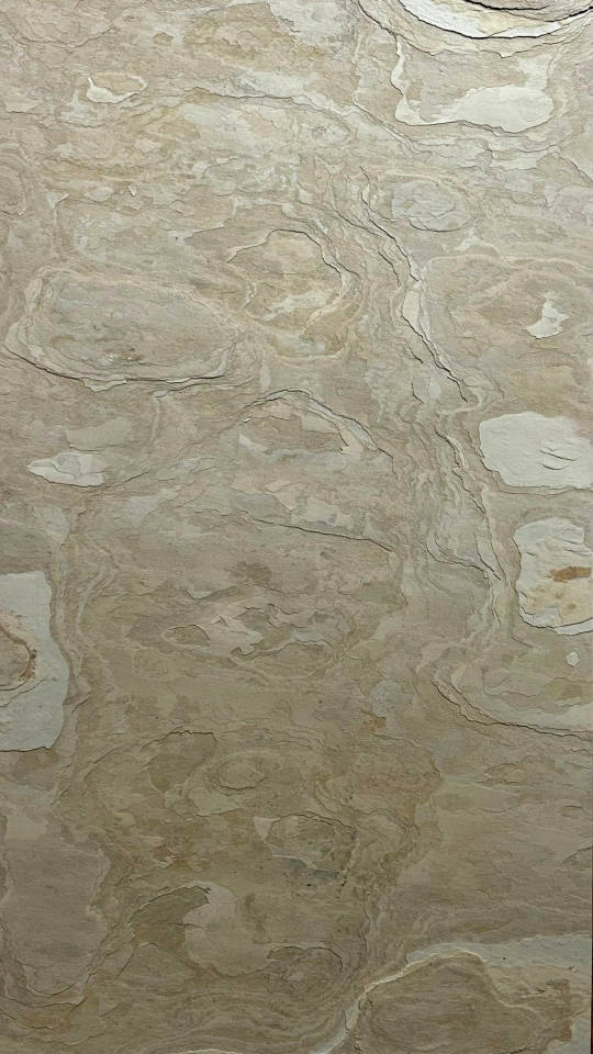 Feuille de pierre naturelle