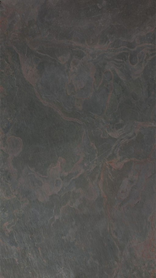 Feuille de pierre Paloma