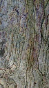 PA211 | Feuille de pierre Quartzite