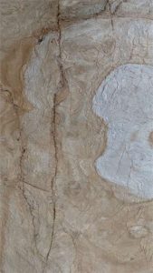 PA111 | Feuille de pierre Ardoise